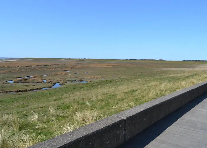 Leto - 2km From The Sea By Interhome Holiday home Havneby